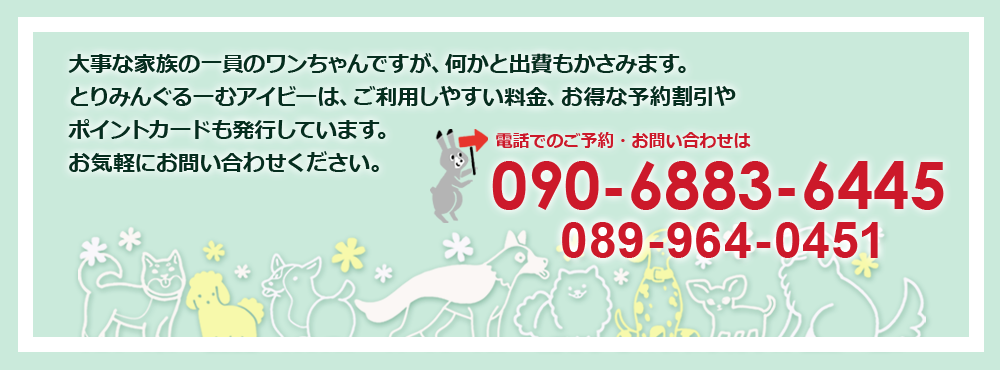 大事な家族の一員のワンちゃんですが、何かと出費もかさみます。とりみんぐるーむアイビーは、ご利用しやすい料金、お得な予約割引やポイントカードも発行しています。お気軽にお問い合わせください。